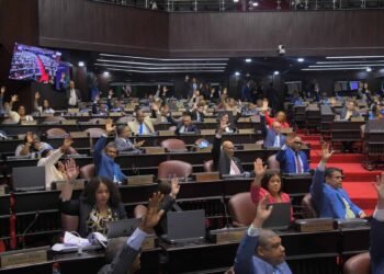 Crisis institucional en RD: El vacío legal tras la observación de Abinader a la ley