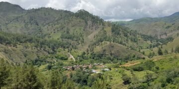 El Romero camino a ser área protegida: impulsan ley histórica para salvar el ecosistema
