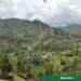 El Romero camino a ser área protegida: impulsan ley histórica para salvar el ecosistema