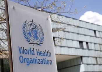 Hantavirus: cómo se contagia realmente y por qué el contacto estrecho es la clave del riesgo