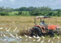 Sidiagro: la plataforma definitiva que está revolucionando la digitalización del campo