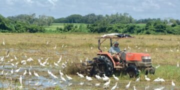 Sidiagro: la plataforma definitiva que está revolucionando la digitalización del campo
