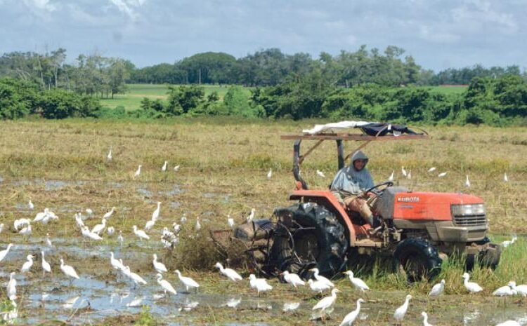 Sidiagro: la plataforma definitiva que está revolucionando la digitalización del campo