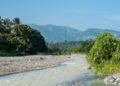 República Dominicana será el epicentro mundial en la lucha contra el crimen ambiental en la Asamblea Red Jaguar 2026