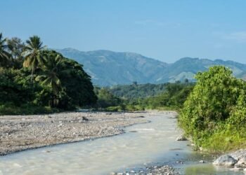República Dominicana será el epicentro mundial en la lucha contra el crimen ambiental en la Asamblea Red Jaguar 2026
