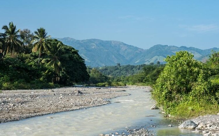 República Dominicana será el epicentro mundial en la lucha contra el crimen ambiental en la Asamblea Red Jaguar 2026