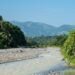República Dominicana será el epicentro mundial en la lucha contra el crimen ambiental en la Asamblea Red Jaguar 2026