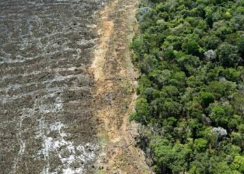 Hito histórico: la Corte IDH valida los saberes indígenas en un fallo sin precedentes para 2025