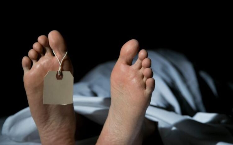 Tragedia en las alturas: muere trabajador tras caer de una torre mientras instalaba un aire acondicionado