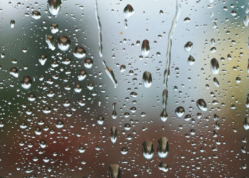 Alerta meteorológica: conoce las provincias bajo pronóstico de tormentas hoy