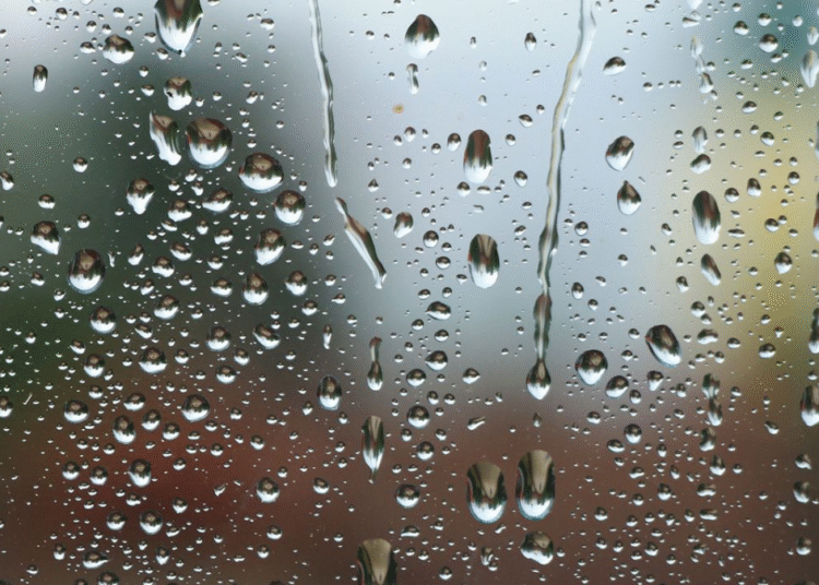 Alerta meteorológica: conoce las provincias bajo pronóstico de tormentas hoy