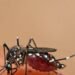 Salud confirma control total: cero casos de dengue, malaria y cólera en el país
