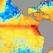 El Niño amenaza con romper todos los récords de temperatura en la historia del planeta