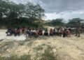 Cae red de tráfico de migrantes: este es el número exacto de detenidos en el operativo