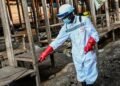 Alerta sanitaria en Venezuela: implementan estrictos controles a viajeros por brote de ébola