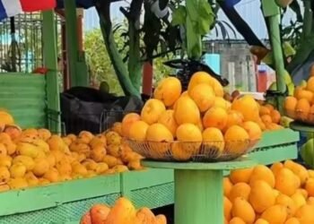 Hipólito Mejía resalta el éxito y entusiasmo masivo en la Feria del Mango Banilejo