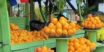 Hipólito Mejía resalta el éxito y entusiasmo masivo en la Feria del Mango Banilejo