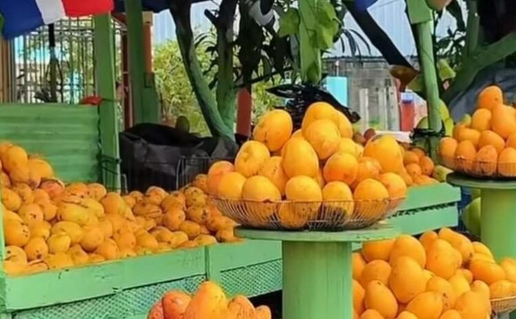 Hipólito Mejía resalta el éxito y entusiasmo masivo en la Feria del Mango Banilejo