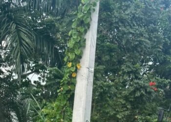 Defensor del Pueblo logra solución definitiva al caos del drenaje en Los Alcarrizos