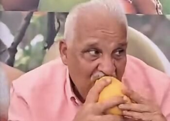 La divertida confesión de Jaime David sobre su pasión por los mangos en Baní