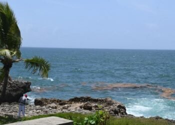 Alerta: el sargazo empieza a invadir las aguas del Malecón de Santo Domingo