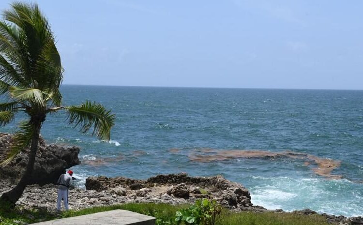 Alerta: el sargazo empieza a invadir las aguas del Malecón de Santo Domingo