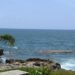 Alerta: el sargazo empieza a invadir las aguas del Malecón de Santo Domingo
