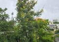 Alerta meteorológica: Vaguada y onda tropical desatarán lluvias intensas esta tarde