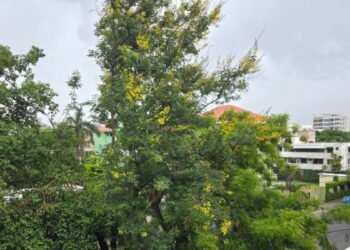 Alerta meteorológica: Vaguada y onda tropical desatarán lluvias intensas esta tarde