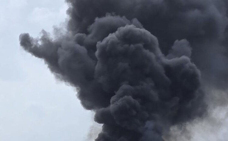 Tragedia aérea en La Romana: mueren piloto y copiloto de avioneta con destino a Texas