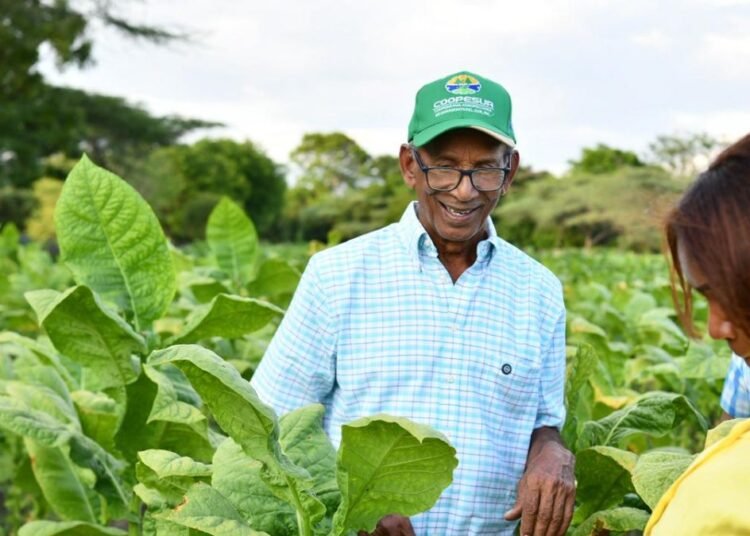 Cómo un pequeño préstamo y el riego por goteo transformaron la vida de un productor de tabaco