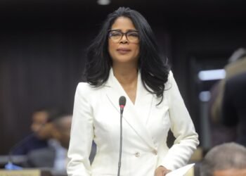 Adiós a la cárcel por difamación: Diputada Lidia Pérez propone histórica reforma a la Ley 74-25