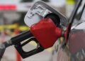 Gobierno congela los precios de los combustibles por tres meses