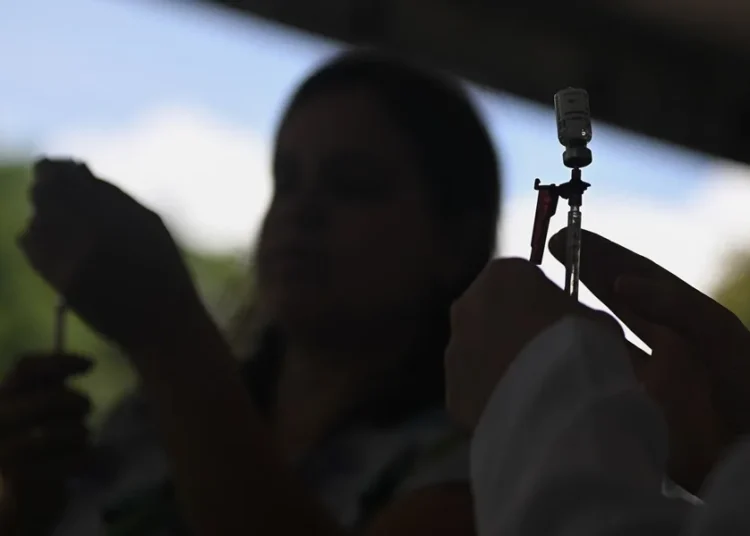 Alerta sanitaria en Brasil: suspenden la vacuna contra el dengue tras registrar dos muertes y decenas de casos graves